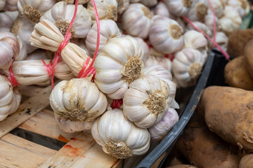 New harvest of fresh organic aromatic violet garlic on farmers market in small Piolenc village, Vaucluse, Provence, France