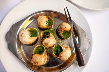 Oven baked snails with parsley garlic butter from Burgundy served as basic starter dish in French restaurant bouillon in Toulouse or Paris