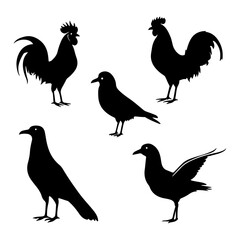 rooster silhouettes vector, rooster vector, rooster design, rooster vector design, black and white rooster design 