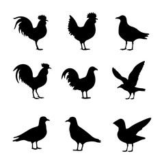 set of birds and rooster silhouettes, black and white rooster and birds vector, birds, rooster  
