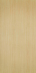 Fototapeta premium Smooth light wood texture with vertical grain, ideal for flooring, furniture, or backgrounds. Natural birch-style finish enhances minimalist and modern designs