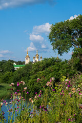 Suzdal, Vladimir Region, Russia - July 24, 2025. Picturesque Ortodox church domes rise above lush trees, wildflowers and river on a sunny day. 