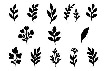 Creative black foliage silhouettes, perfect for botanical illustrations in design projects R1002