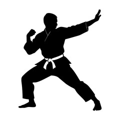 silhouette of a karate man