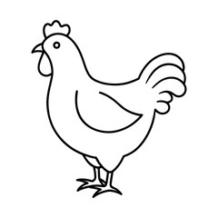 vector illustration of a chicken, line art of a Hen, Chicken