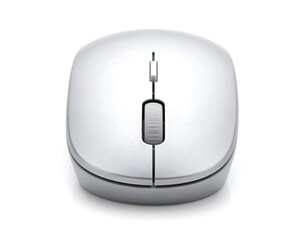 Gray computer mouse, top view