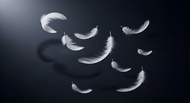 Gentle white feathers falling in darkness.