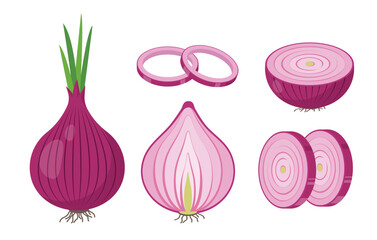 Set of red Onions bulb in peel, halved onion, slices and rings. Cook ingredients, spices. Vegetable Organic food. Vector illustration isolated on white background.