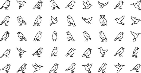 Set of Bird Vector Icons
