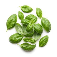 Fototapeta premium Fresh basil leaves scattered,