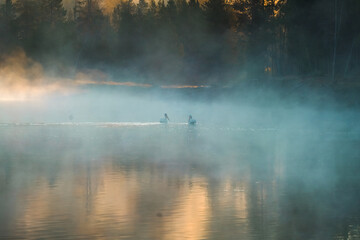 misty morning on the the snake river