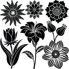 Set of eight elegant floral silhouettes for vector design projects isolated on white background