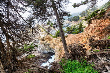 View from the campground area above McWay Falls in Big Sur, California. Scenic cliffs and turquoise waters framed by cypress trees create a unique and beautiful perspective of the Pacific coast