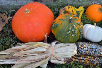 Autumn Garden Items