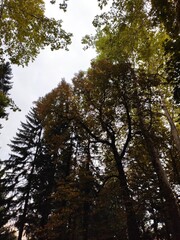 Obraz premium Beautiful nature photos