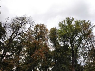 Beautiful nature photos