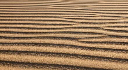 Fototapeta premium Wind-carved sand ripples graphic pattern