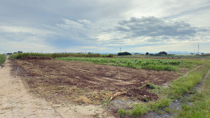放置農地の畑をユンボで整備