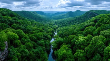 Obraz premium Lush Green Valley Forest Landscape Under Overcast Sky Aerial View
