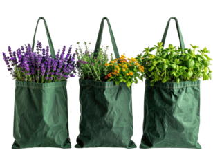 Three dark-green tote bags, each filled with fresh herbs, displayed in a row
