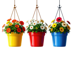 Three colorful hanging flower pots with vibrant blooms