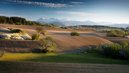 Obraz premium Decorative Banner Designs