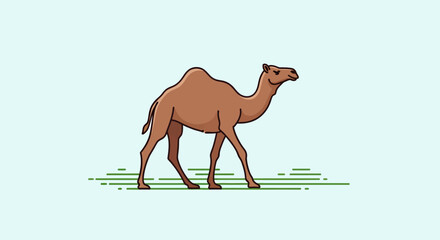 camel cartoon illustration