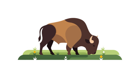 buffalo