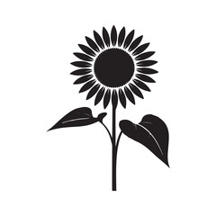 sunflower vector illustration