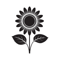 Fototapeta premium sunflower vector illustration. Minimal Floral Vector Design Isolated on White