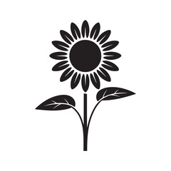sunflower vector illustration. Minimal Floral Vector Design Isolated on White