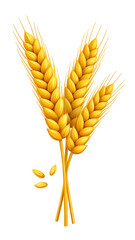 Three golden wheat stalks, stylized illustration