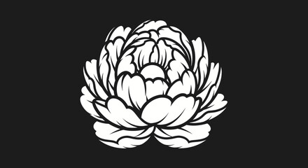 Elegant White Peony Flower Line Art Illustration.