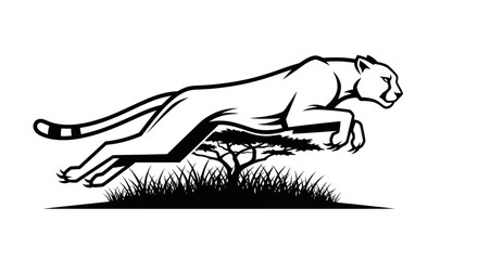 Powerful Cheetah Leaping Dynamically.