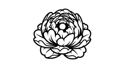 Elegant Peony Flower Outline Drawing.