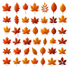 Obraz premium Collection of autumn leaves in vibrant shades of orange and brown