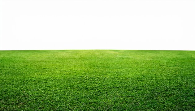Rasen Gras Wiese Panorama Freigestellt Auf Weissem Hintergrund