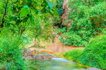 Preciosa ruta botánica de la torrecilla  © David