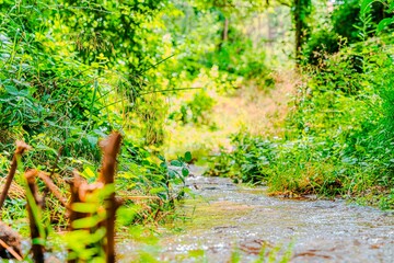 Preciosa ruta botánica de la torrecilla  © David