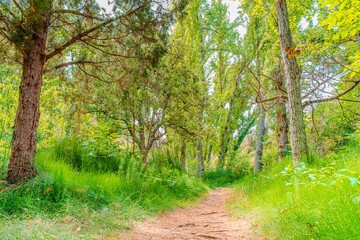 Preciosa ruta botánica de la torrecilla  © David