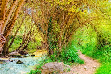 Preciosa ruta botánica de la torrecilla  © David