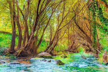 Preciosa ruta botánica de la torrecilla  © David