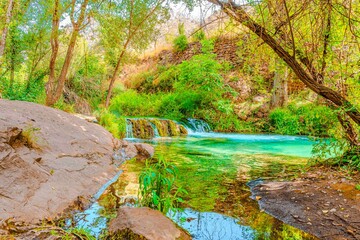 Preciosa ruta botánica de la torrecilla  © David