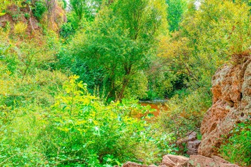 Preciosa ruta botánica de la torrecilla 