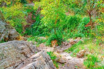 Preciosa ruta botánica de la torrecilla 