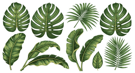 Vibrant tropical leaves vector illustration set with exotic green botanical foliage isolated on transparent background, perfect for natural design.