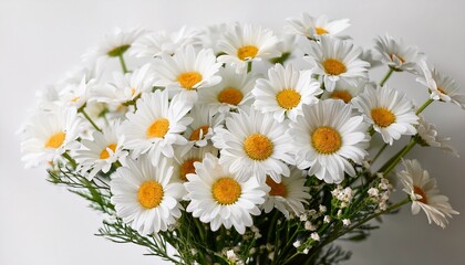 Close Up Of White Daisies Bouquet On White Background Generative Ai