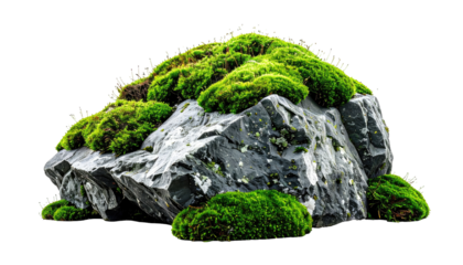 Large rock, covered in vibrant moss