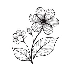 vector illustration of a flower