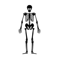 Black silhouette of a human skeleton standing upright